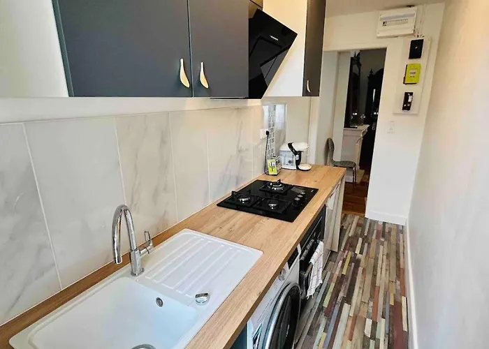 Le Jaures - Centre-ville Διαμέρισμα *